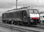 MRCE/TXL 6 189 281-9 Flensburg-Peelwatt 08.05.2010(723)