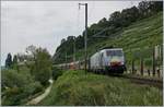 Die MRCE 189 090  Göttigen  (UIC 91 80 6189 990-5 D-Dispo Class 189 VE) mit ihrem Novelis Zug von Sierre nach Göttingen kurz vor Twann.
31. Juli 2017