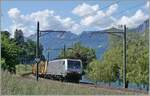 Ein sehr seltener Gast am Genfersee: die AKIEMES 64 F4 082 (91 80 189 982-2 D-AKIIEM) kurz nach Villeneuve auf der Fahrt in Richtung Lausanne. 

14. Mai 2025