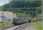 Die SBB Cargo International 193 258 und 193 461 verlassen in Läufelfingen mit einem Güterzug den 2495 langen Hauensteintunnel.
11. Juli 2018