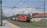 Die DB 193 323 erreicht mit einem langen Güterzug Gallarate. 

23. Mai 2023  