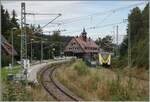 Feldberg - Bärental -> der höchst gelegene Bahnhof Deutschlands, so steht es jedenfalls auf einem Schild am Bahnhof und wird mit der Angabe von 967 m.ü.d.M. untermauert. In diesen höchst gelegen Bahnhof fährt der DB Alstom Coradia Continental 1440 173/673 von Seebrugg nach Titisee ein.

21. Sept. 2023