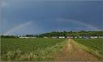 186 158 Captrain mit Regenbogen bei Buggingen.