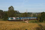 223 064  Landesgartenschau  aus Hof kommend am 18. Juni 2026 bei Naabdemenreuth.