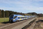 430 017 und 430 006 auf dem Weg nach Mnchen am 22.