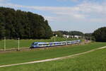 430 022 war am 18. September 2024 als  Verstrker  zwischen Rosenheim und Traunstein im Einsatz, aufgenommen bei Axdorf.