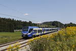 ET 319 auf dem Weg von Salzburg nach Mnchen.