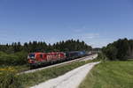 193 555  OFFROAD  und 193 973 am 12.