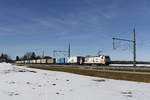 185 664 mit dem  Ekol  auf dem Weg nach Freilassing am 16.