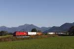 1016 025 mit dem  Walter-Zug  aus Salzburg kommend am 12.