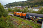 Hagebutten im Vordergrund...
Die KSW 44 (92 80 1271 004-4 D-KSW) eine MaK G 1000 BB der KSW (Kreisbahn Siegen-Wittgenstein) steht am 24.08.2023, mit einem Übergabezug (leere Wagen), bei der Anschlussstelle vom KSW Rangierbahnhof Herdorf (Betriebsstätte FGE -Freien Grunder Eisenbahn) zur eingleisigen DB Strecke KBS 462 „Hellertalbahn“ (Betzdorf – Herdorf – Haiger), zur Abfahrt bereit. Aber noch ist die Gleissperre geschlossen und die Weiche noch nicht gestellt.

Im Hintergrund das Hüttenhaus von Herdorf.