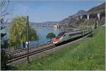 Der SBB ETR 610 009 ist als EC 45 von Genève nach Milano unterwegs und konnte kurz vor Villeneuve in der frühlingsgrünen Landschaft am Genfer See fotografiert werden. Im Hintergrund ist das Château de Chillon zu erkennen. 

3. A ...