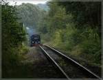 Die Bahn kommt - und zwar rasend!   Rasender Roland auf der Fahrt nach Putbus im Wald kurz nach Binz.