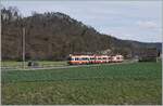 Die 75 cm Spurweite aufweisende Waldenburger Bahn wird seit Ostern 2021 auf Meterspur umgebaut und dabei ruht der Verkehr auf der Gesamtstrecke. Im Bild ein 75 cm Spur Zug auf dem Weg nach Liestal kurz vor Hölstein.

25. März 2021