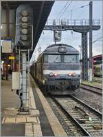 BB 67000/841351/die-formschoene-diesellok-steht-in-strasbourg Die formschöne Diesellok steht in Strasbourg und wartet mit ihrem TER 831830 (ab 17:01) nach Saint-Dié-des-Vosges (an 18:50) auf die Abfahrt.
Der Zug besteht auf zwei RRR Garnituren. Um die gleiche Anzahl Personne zu befördern wären drei bis vier Régiolis nötig, die aber durch die kurzen Umläufe tagsüber nur rumstehern würden, so dass die SNCF (noch) auf die BB 67400 zurückgreift.

12. März 2024
