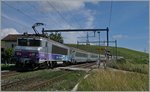 Die SNCF BB 22316 schieb bei Russin ihren TER von Lyon Richtung Genève.