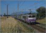 ie SNCF BB 22393  Nez cassé  schiebt bei Bourdigny kurz vor Satigny ihren TER von Genève nach Lyon.

19. Juli 2021