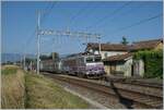 Die SNCF BB 22393  Nez cassé  bei Bourdigny kurz nach Satigny mit ihren TER von Lyon nach  Genève.

19. Juli 2021
