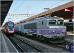 Markante Nasen, gebrochen und rund: in Genève treffen sich der SBB RABDe 502 019-8 (94 85 0 502 019-8 CH-SBB) auf der Fahrt als IC1 nach St.Gallen und die SNCF BB 22391 (91 87 0022 391-3 F-SNCF)
