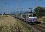 BB 22200/832437/die-sncf-bb-22293-schiebt-kurz Die SNCF BB 22293 schiebt kurz vor Satigny ihren TER von Genève nach Lyon ihr Richtung Frankreich.

17. Juli 2021