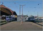 Heutzutage ist es eher die Ausnahme als die Regel im Regionalzugverkehr Lokbespannte Züge anzutreffen. In Strasbourg hatte ich das Glück, gleich zwei Lokbespannte Fluo-Regionalzüge auf einem Bild fotografieren zu können: Rechts die SNCF BB 22276 mit einem Regionalzug nach Sélestat und rechts im Bild der SNCF Diesellokklassiker in Form der SNCF BB 67599 welche mit ihrem TER 831811 von Saint-Dié-des Vosges im Zielbahnhof Strasbourg angekommen ist. 19. März 2025 