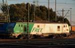 437029 mein erstes Fret(chen). HH 30.9.11