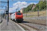 bb-37000-br-437/861118/die-akiem-prima-e-37-519 Die akiem PRIMA E 37 519 erreicht als Lokfahrt den Bahnhof von Bellegarde. Die Lok wird wohl in Thonon bzw. Evian einen Mineralwasserzug abholen. Ein Blick auf die Fahrleitung zeigt, dass diese auf den Nebengleisen mit nur einem Fahrdraht und ohne Tragseil sehr einfach konstruiert ist. 

26. August 2024 