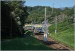 Etwas westlich von La Plaine, bereits in Frankreich liegt dei Systemgrenze zwischen derSBB und der SNCF. Im Bild dein nach Genève fahrender TER. 

9. Sept. 2021