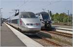 Der SNCF TGV 360 wartet in Saint-Malo auf seine Abfahrt nach Paris als TGV 8088.