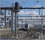 Duplex/863687/der-sncf-inoui-tgv-6618-bestehend Der SNCF Inoui TGV 6618 bestehend aus dem Rame 263 verlässt pünktlich um 11:46 den Bahnhof Lyon Perrache. Der TGV hält nur in Lyon Part Dieu und wird Paris Gare de Lyon um 15:00 erreichen. 13. März 2024