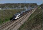 Duplex/864169/auf-der-tgv-strecke-paris---lyon Auf der TGV-Strecke Paris - Lyon / LGV 752000 bei Kilometer 257,7 fahren der TGV Rame 616 und ein weiterer TGV Duplex Réseau Richtung Norden. Ich gehe davon aus, dass es sich um den TGV 6116 von Marseille (ab 9:03) nach Paris ( an 12:22) handelt. Auf diesem Streckenabschnitt bei Saint Émiland ist die Geschwindigkeit auf 270 km/h begrenzt; erst bei km 254,6 im Norden und ab km 336,3 im Süden sind wieder km/h 300 erlaubt. 

6. April 2024