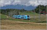 Die schöne, himmelblaue SNCF Computermaus Z 24317 ist kurz nach Satigny auf als TER nach Valence dem Rückweg nach Frankreich.