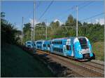 Die schöne, himmelblaue Computermaus ist von Grenoble nach Genève unterwegs und hat ihr Ziel schon fast erreicht. Der SNCF Z 24317, unterwegs als als TER 96605, konnte zwischen Russin und Satigny fotografiert werden.

2. August 2021