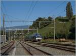 Wie befürchtet drängen nun nach den Sommerferien vermehrt Triebzüge in den TER  Lyon  Umläufe und verdrängen die E-Lok BB 22200  nez-Cassé . 
Der Z 27741 auf dem Weg von Lyn nach Genève bei der Durchfahrt in La Plaine. 

6. September 2021