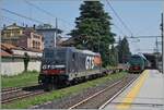 Die GTS 483 052 fährt mit einem Güterzug aus dem HUPAC Termial kommend durch den Bahnhof von Gallarate. 

23. Mia 2023 