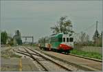Der Aln 668 1014 der FER erreicht Brescello Viadana, dessen Gleisanlage trotz wohl kaum mehr stattfindendem Güterverkehr sich noch recht grosszügig und sehr gepflegt zeigt.
14. Nov. 2013 