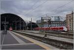 ie Trenord Milano - Malpensa Flughafenzüge verkehren in einer nun rot/weissen Farbgebung.