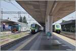 Reger Nahverkehr in Gallarate: Auf Gleis 5 steht ein Trenord Ale 711 als S 5 nach Varese, in der Mitte der Trenord ETR 104 017  Pop  nach Luino und rechts im Bild ist gerade noch ein ausfahrender Trenord 521 nach Milano zu sehen. 

23. Mai 2023