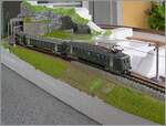 Auch hinter dem LIMA RBe 4/4 1435 machen die  grossen  Lima EWI ein gutes Bild. 

30. Juli 2025