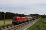 1016 003 mit einem kurzen Gterzug aus Salzburg kommend am 3.