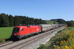 1016 026 mit einem Schiebewandwagen aus Salzburg kommend am 9.