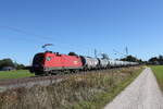 1016 033 mit einem Kesselwagenzug aus Salzburg kommend am 20.