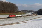 1016 023 mit einem Containerzug aus Salzburg kommend am 15.