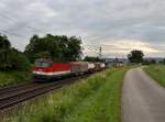 Die 1144 264 am 21.06.2011 mit einem KLV-Zug unterwegs bei Pölling.
