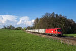 1116 266 mit einem Containerzug am 10.