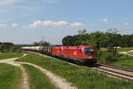 1116 105 & 1116 xxx waren am 19.