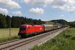 1116 078 mit einem Schiebewandwagenzug auf dem Weg nach Mnchen am 2.