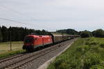 1116 254 mit dem  Audi-Zug  am 3.