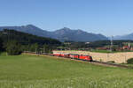 1116 194 und 1293 179 mit einem gemischten Gterzug aus Mnchen kommend am 19.