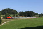 1116 104 mit einem  EC  auf dem Weg nach Mnchen. Aufgenommen am 19. August 2025 bei Vachendorf  im Chiemgau.